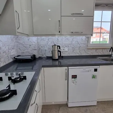 Belmore فيلة داليان